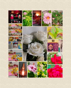 Navaratri-Nature